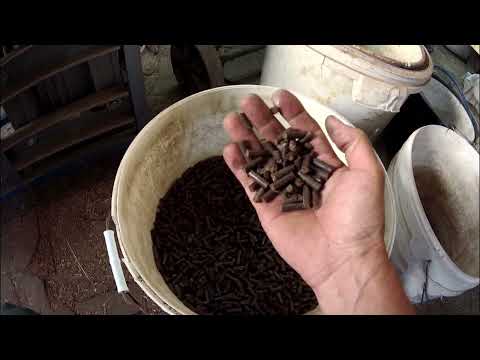 Видео: Кормокухня (комбікорм свині)