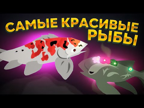 Видео: Cat Goes Fishing. ЭТИ РЫБЫ ВАС УДИВЯТ! (САМЫЕ КРАСИВЫЕ РЫБЫ В ИГРЕ)