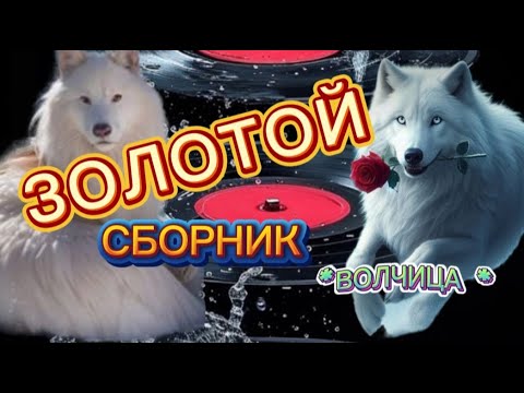 Видео: 💎🔥ЗОЛОТОЙ СБОРНИК * ВОЛЧИЦА* ЗАХОДИ СЛУШАЙ🎧 КАЙФУЙ