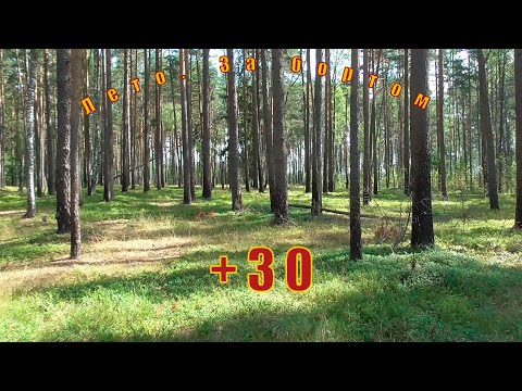 Видео: Поиск древнего поселения в моём исполнении (пошагово)