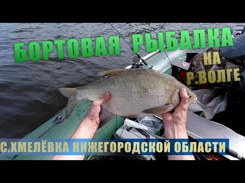 Видео: Здоровый лещ на 2 кг | Ловля леща в Хмелевке