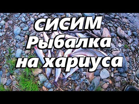 Видео: Таёжный Сисим, рыбалка на Хариуса