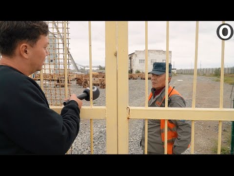 Видео: Чёрные копатели Бестобе. Спецреп