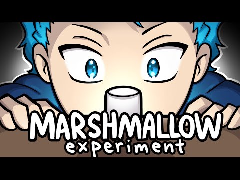 Видео: Сможете ли вы пережить эксперимент с зефиром? | DanPlan Animated