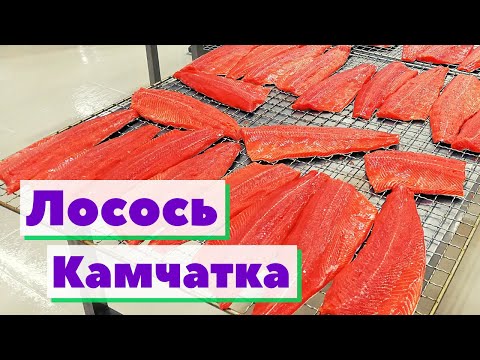 Видео: Лосось Камчатка | Как это сделано | Salmon Russia