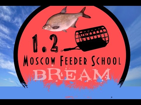 Видео: Moscow Feeder School "Ловля леща" 1.2(Московская фидерная школа)