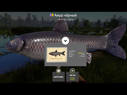 Видео: ФАРМЫ СЕРЕБРА и РАЗДАЧИ ТРОФЕЕВ! СВОДКА по ВОДОЁМАМ на 13.12 в Русской Рыбалке 4! РР4