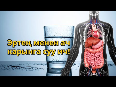 Видео: Эмнеге эртең менен ач карынга суу ичүү керек?