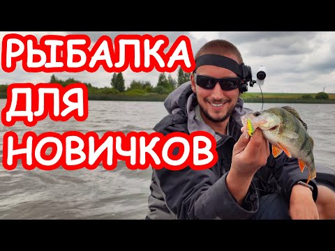 Видео: Рыбалка для начинающих. Ловля щуки и окуня для новичка. Основы спиннинга