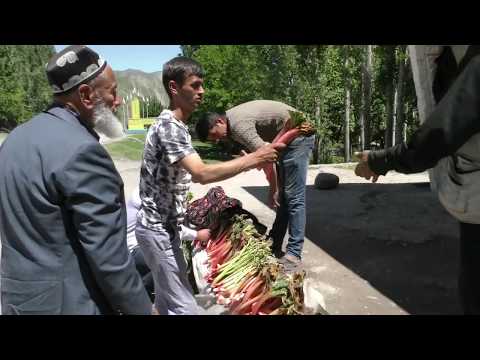 Видео: Чукри Санблоки Дараи Хакими(чукри таги санги) Точикистон шохрохои Гарм