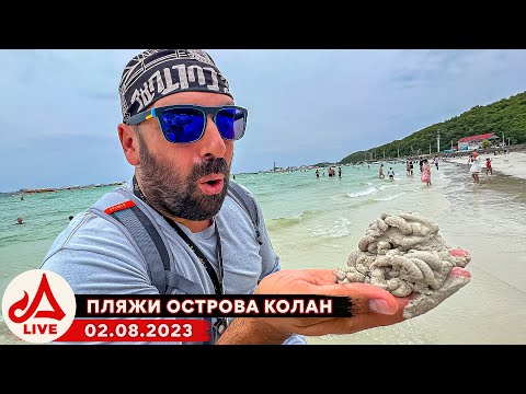 Видео: КОЛАН. Островной МОТО СТРИМ 🔴 Самые чистые пляжи Паттайи.