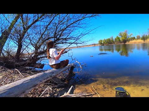 Видео: В ЭТИХ ДЕБРЯХ ТОЛЬКО КРУПНЯК! РЫБАЛКА НА ПОПЛАВОК ВЕСНОЙ!