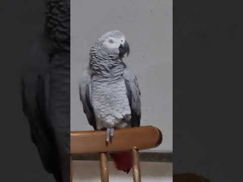 Видео: Никогда не знаешь, что придумает Кира