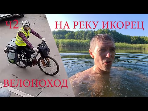 Видео: Велопоход на реку Икорец. ч2