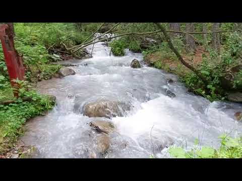 Видео: Ущелье Адыр - Суу, КБР, Приэльбрусье,  10.07.2023