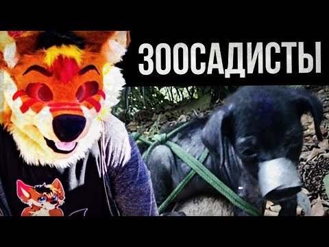 Видео: ФУРРИ-САДИСТЫ (Kero the Wolf/Zoosadist Evidence)