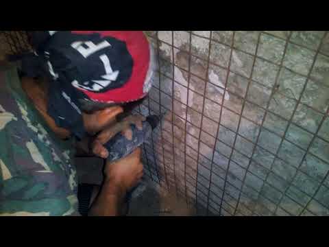 Видео: Подготовка  саманной (турлучной) стены для штукатурки