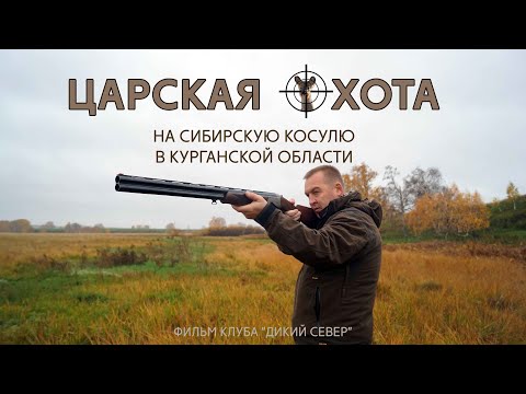Видео: Охота на сибирскую косулю в Курганской области с клубом Дикий Север.