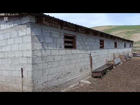 Видео: Жакшы чоң сарайлар жайыты менен сатылат