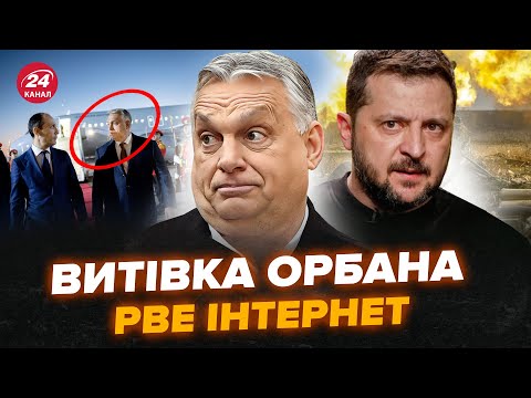 Видео: 😮Скандал с ОРБАНОМ в Тбилиси! Грузины НАБРОСИЛИСЬ на кортеж во время протеста. Видео РАЗРЫВАЕТ сеть