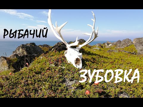 Видео: Кольский 2020 .Рыбачий. Средний. Зубовка. Скорбеевка. броды, олени северные форель, кумжа, водопад .