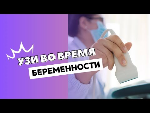 Видео: УЗИ ПРИ БЕРЕМЕННОСТИ #doctorberezovska  #olenaberezovska #беременность  #УЗИ