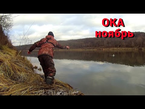 Видео: ДОНКИ НА ЖИВЦА И ЧЕРВЯ. МЁРТВЫЕ ЩУЧКИ. Рыбалка в ноябре на Оке.