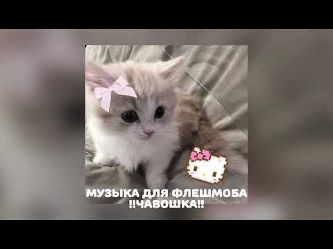 Видео: музыка для флешмоба!!//есть маты!/я вернулась)