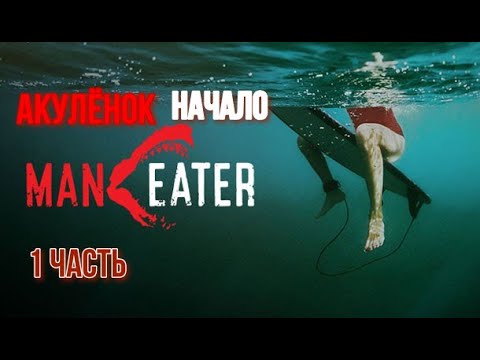 Видео: Акула #Maneater _ Полное прохождение игры _ Морская охота - 1 часть