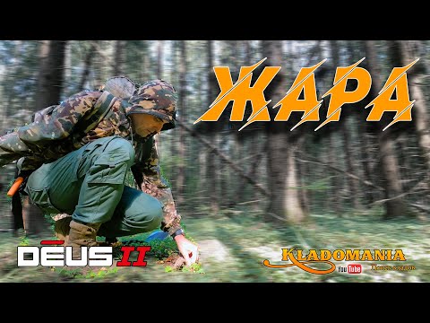 Видео: ЛЕСНОЙ КОП в жару. Поиск монет в лесу. КЛАДОМАНИЯ