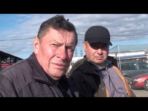 Видео: Ярмарок Дніпро, 3ч