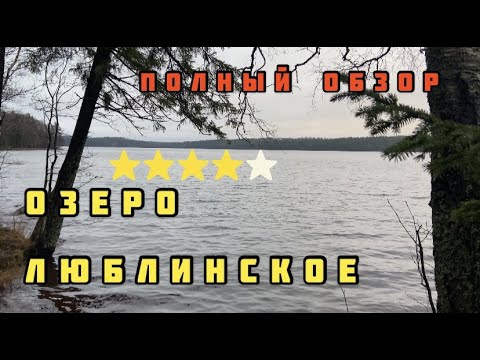 Видео: Люблинское озеро.Обзор. Лен.обл. Новое место.Ноябрь 2020