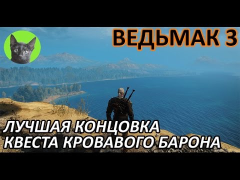 Видео: Ведьмак 3 - Мнение - Самая лучшая концовка квеста про семью Кровавого Барона