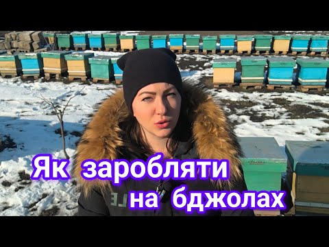 Видео: Збільшуємо дохід з пасіки, скільки ми качаємо меду, скільки перги забираємо. Рентабельність пасіки
