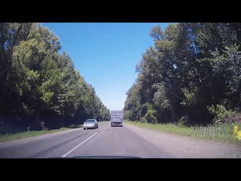 Видео: Опытное поле-Планидовка ВКО. 25.08.2016