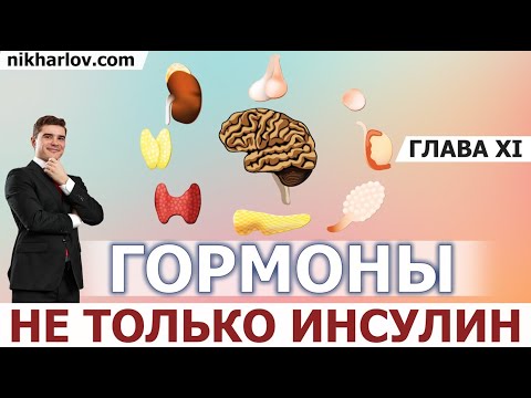 Видео: Как гормоны управляют обменом веществ. Метаболический статус. Инсулин Глюкагон соотношение. Задание.