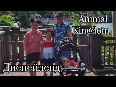 Видео: Отлично провели день в парке "Animal Kingdom"  Disneyland.