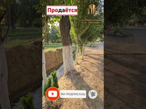 Видео: Хавли Фуруши Каратог Дом отдых Балхаки поен хонаи №.8 Тел.555245454