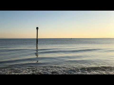 Видео: Визуализация қилиш тартиби