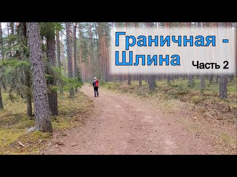 Видео: Сплав по рекам Граничная - Шлина #2. Памятник природы "Боры Узмень"