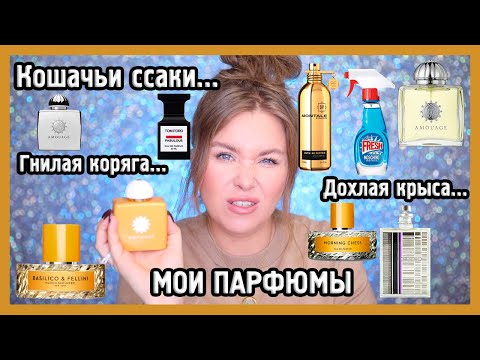 Видео: МОЯ КОЛЛЕКЦИЯ ПАРФЮМОВ I Vilhelm parfumerie, Hermes, Amouage