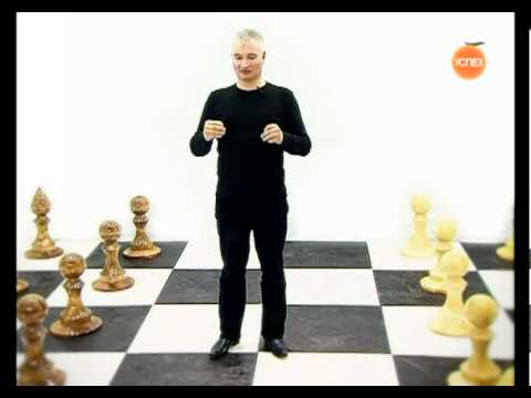 Видео: Как обратить вред в пользу? Советы от Виталия Ильинского. Серия 6