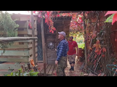 Видео: Нескучное утро и завершение грандиозного проекта