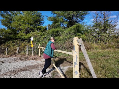 Видео: Грибы на супчик. Фото-ловушки. Туристические тропы.