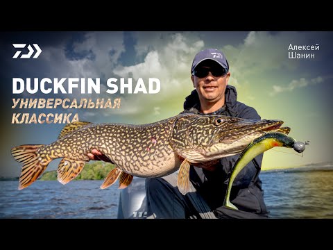 Видео: DUCKFIN SHAD x УНИВЕРСАЛЬНАЯ КЛАССИКА x АЛЕКСЕЙ ШАНИН