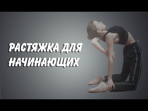 Видео: РАСТЯЖКА ДЛЯ НАЧИНАЮЩИХ