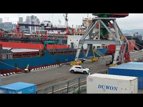 Видео: = Выгрузка японских машин с судна Ocean Queen SV 21.07.2025 г =