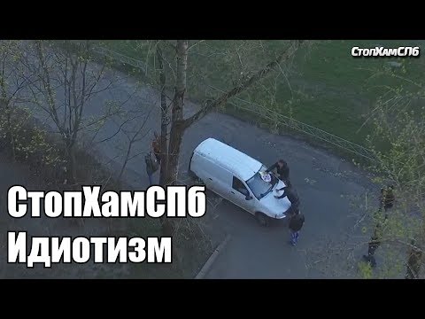 Видео: СтопХамСПб - Идиотизм
