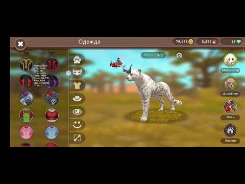 Видео: Обзор на мой аккаунт WildCraft. 