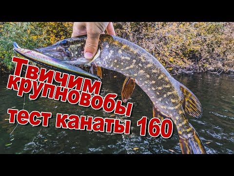 Видео: Первый тест Megabass Kanata 160F на воде | Твичим крупновобы | Ловля щуки на воблеры